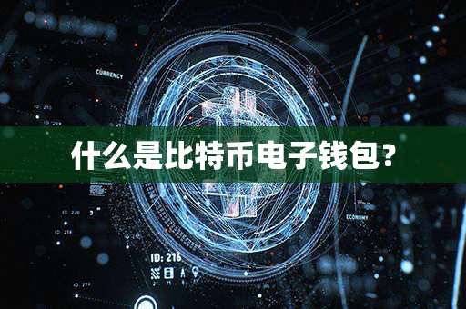 什么是比特币电子钱包？第1张-币堂网