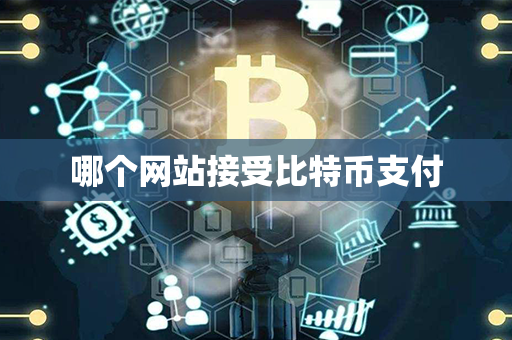 哪个网站接受比特币支付