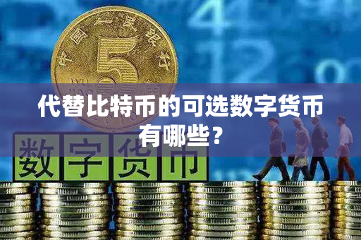 代替比特币的可选数字货币有哪些？第1张-币堂网